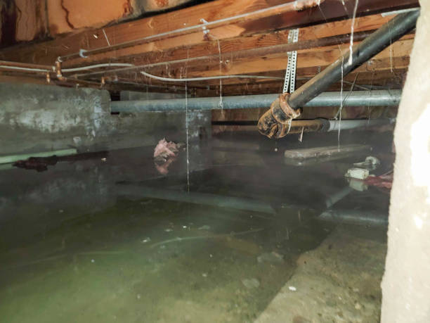 Water damage restoration process in Indian Hills, CO