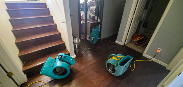 Best Water damage contractors near me  in Indian Hills, CO