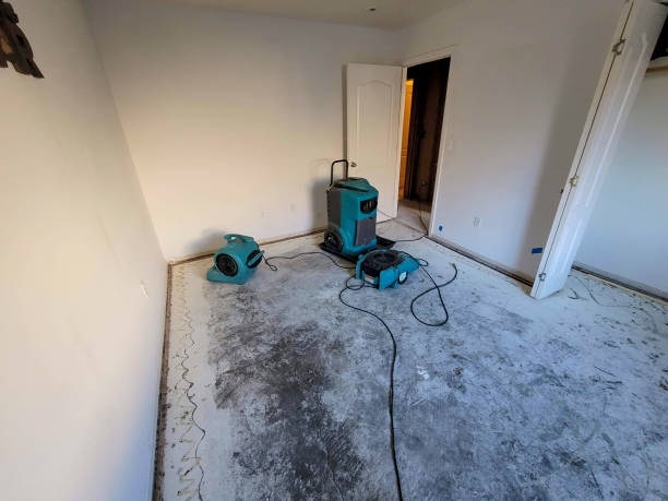 Best Local water damage restoration  in Indian Hills, CO