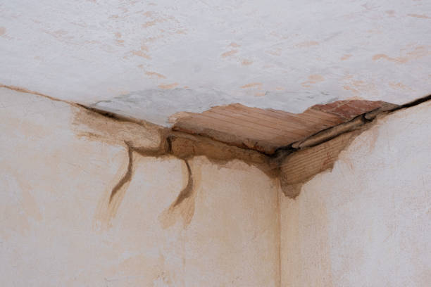 Best Water damage restoration near me  in Indian Hills, CO