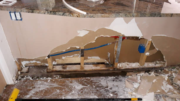 Best Flood damage cleanup  in Indian Hills, CO