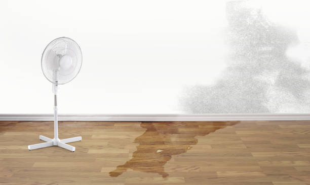Best Fire Damage Restoration  in Indian Hills, CO