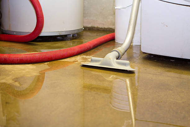 Best Water damage restoration mold remediation  in Indian Hills, CO