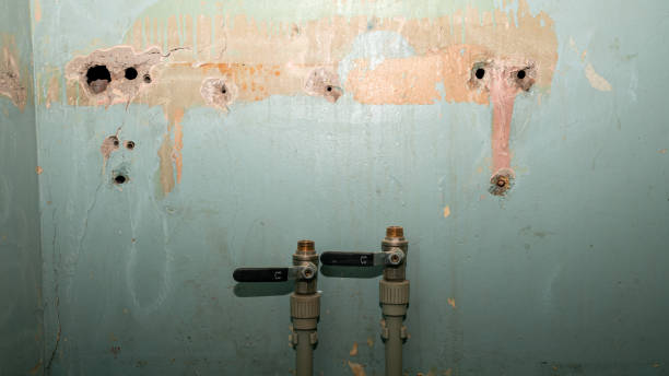 Best Local water damage restoration  in Indian Hills, CO