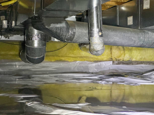 Best Basement water damage restoration  in Indian Hills, CO