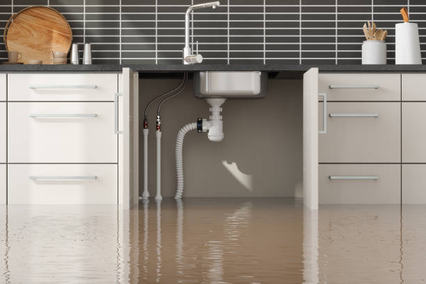 Best Flood damage cleanup  in Indian Hills, CO