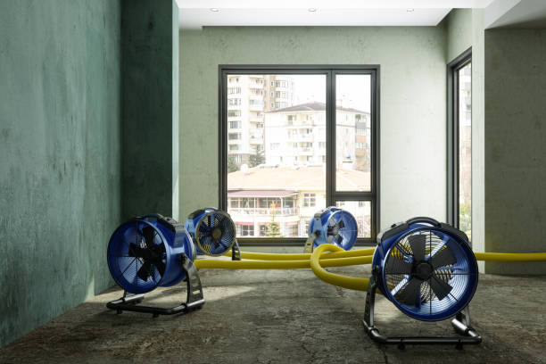  Indian Hills, CO Water damage restoration Pros